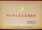 弘扬伟大抗疫精神！阳西总医院党委和这些医护人员获表彰！